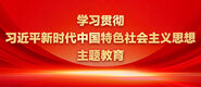 肏插逼的你学习贯彻习近平新时代中国特色社会主义思想主题教育_fororder_ad-371X160(2)